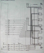 Insight 2 information