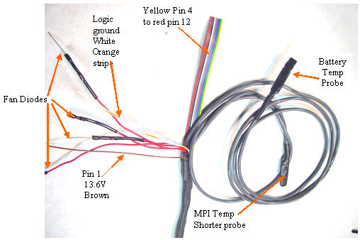 Rear harness 